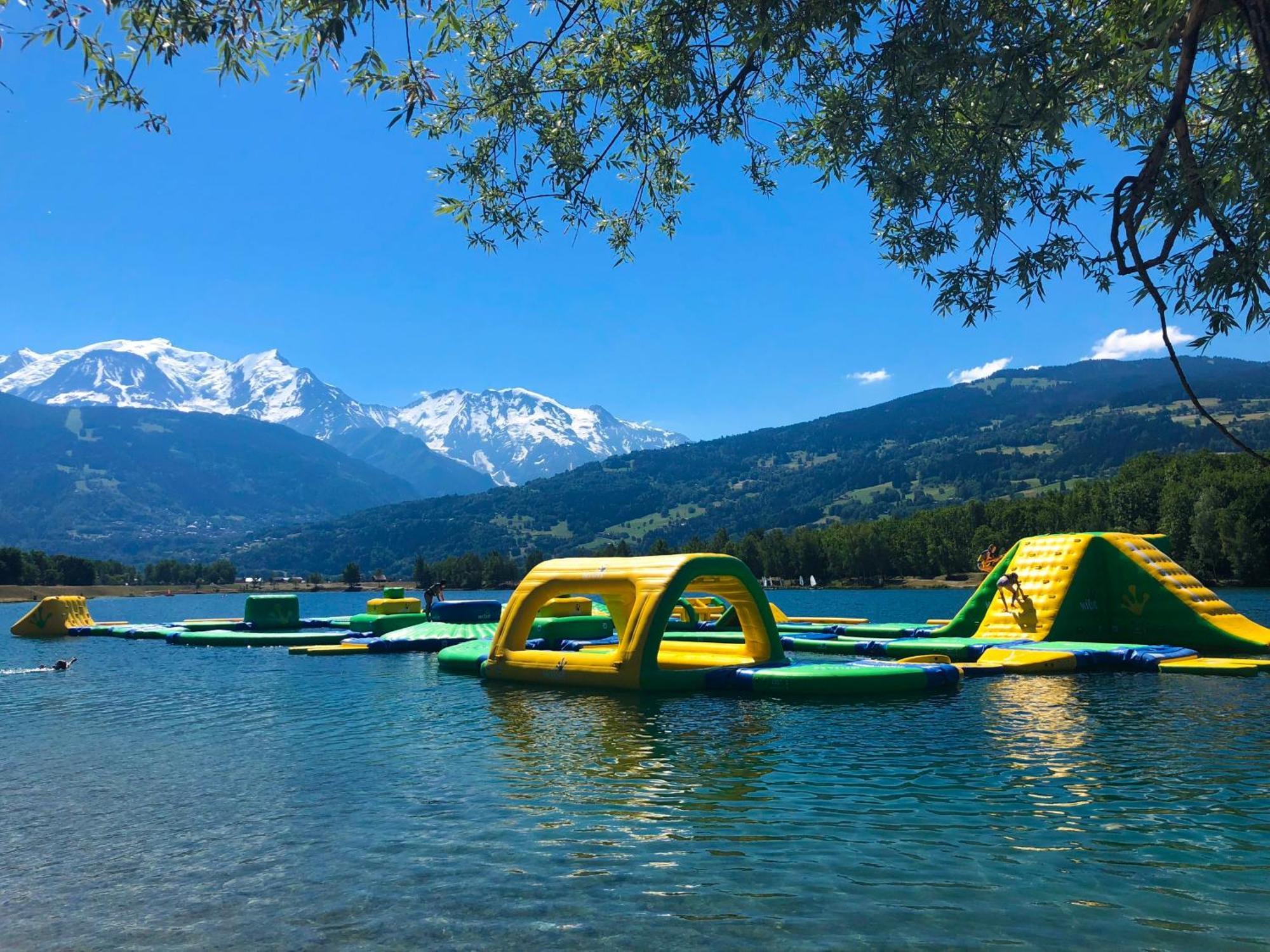Au Pied Du Montblanc Domancy
